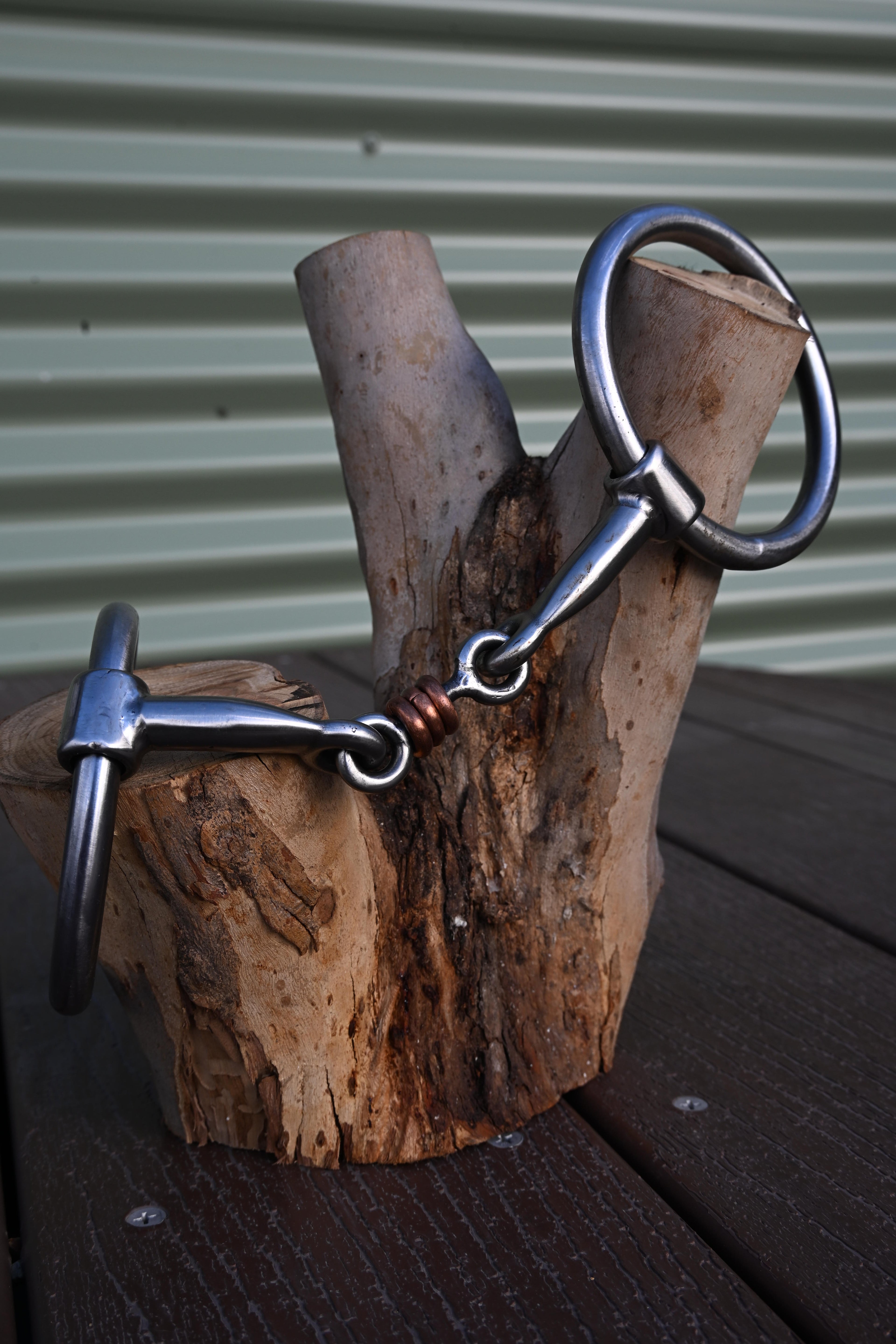 O-Ring Bog Bone