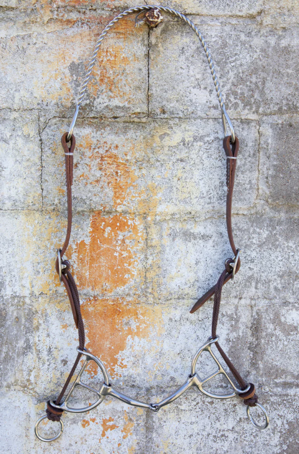 Twisted Wire Head Setter Draw Gag
